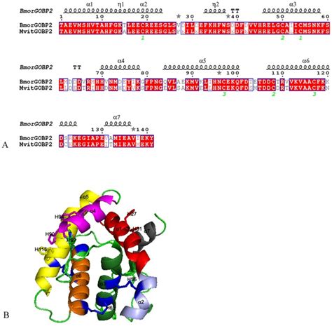Sex Pheromone Recognition And Characterization Of Three Pheromone Binding Proteins In The Legume