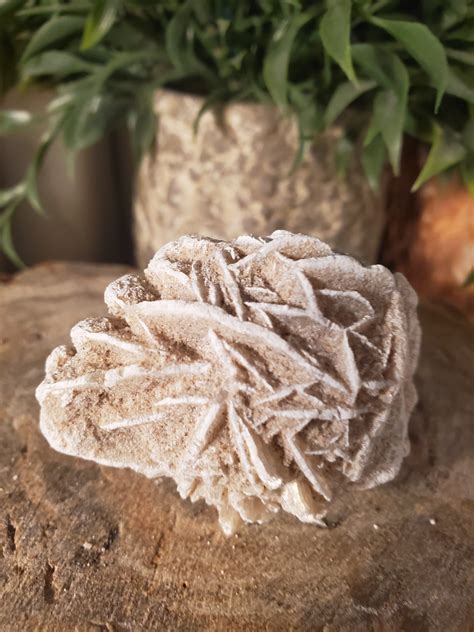 Desert Rose Selenite Rose Raw Selenite Raw Selenite Etsy UK