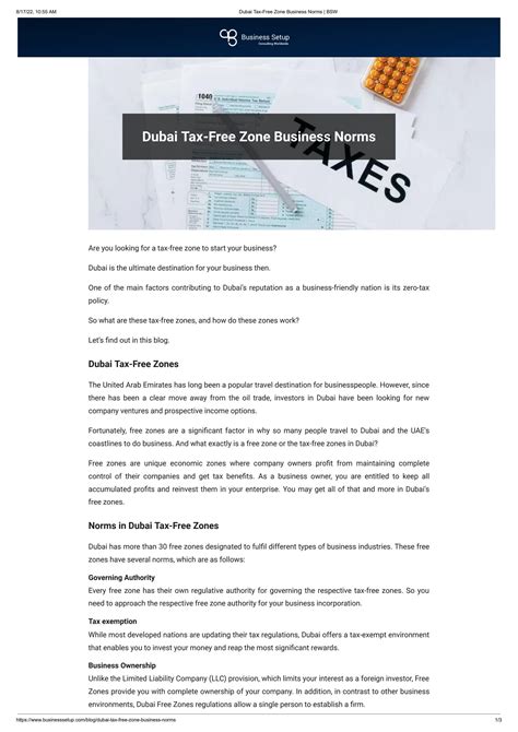 Read This Before Starting Your Dubai Tax-Free Zone Business by BSW