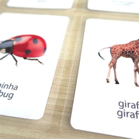 Kit Flashcards Animais Em Portugu S E Ingl S Elo