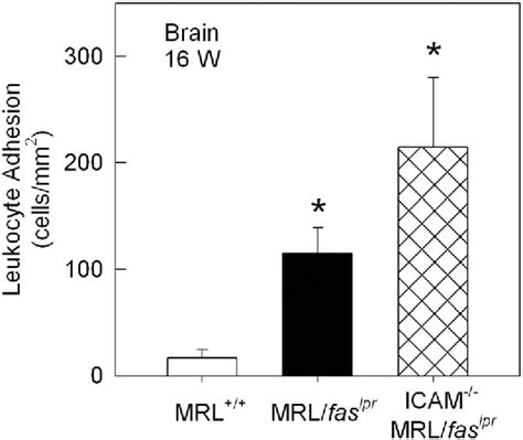 Figure From Differential Roles Of Icam And Vcam In Leukocyte