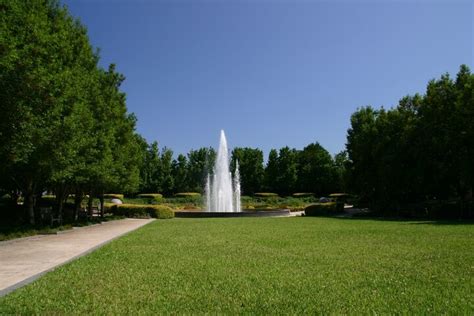 Texas Discovery Gardens Ceremony Venues Dallas Tx