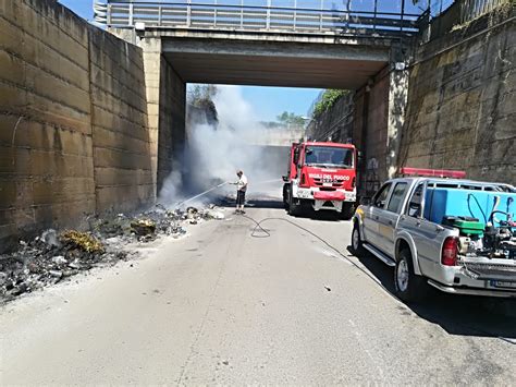 Lamezia Rifiuti Incendiati In Via Dario Leone Per I Ritardi Nella Raccolta