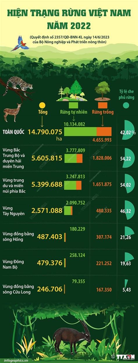 Infographics T Ng Quan V Hi N Tr Ng R Ng Vi T Nam N M