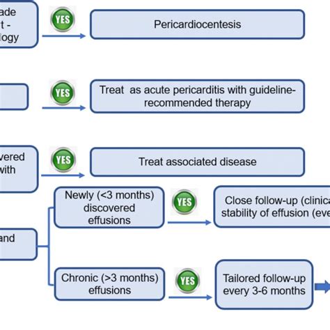 Pericardial Effusion Triage And Management Algorithm Recommended By The