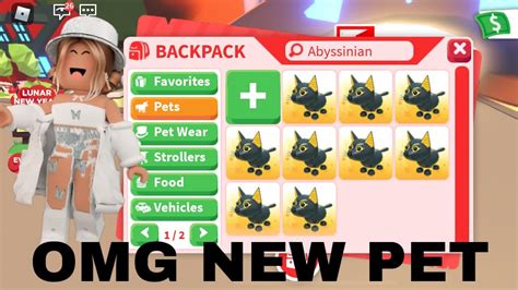 Trading New Abyssinian Cat In Adopt Me Youtube