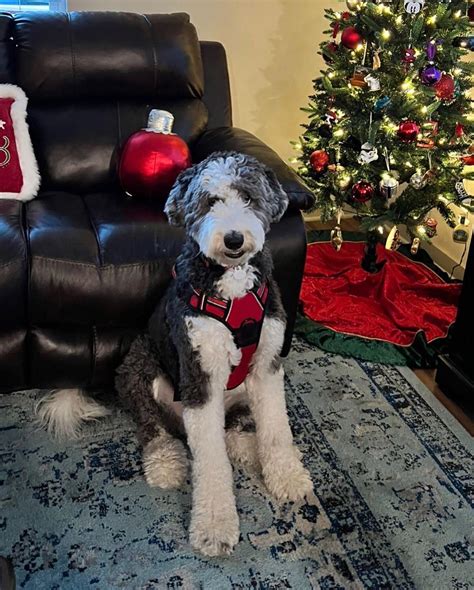 Photo Gallery | Ivy Row at Troy