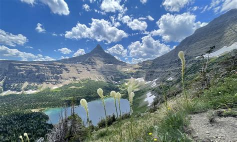 Glacier Guides & Montana Raft Blog