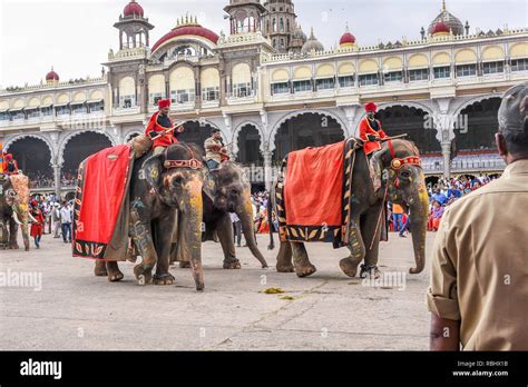 Decorated elephants at Mysore Dussehra celebration or Dasara festival ...