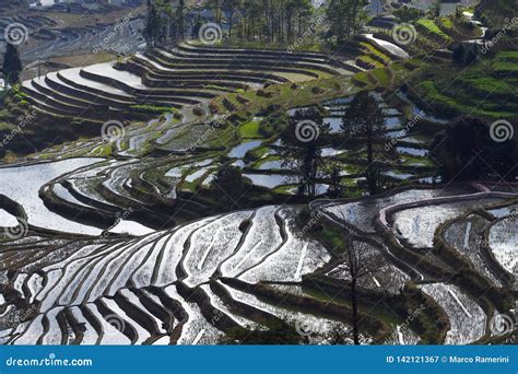 Yunnan Terraced Rice Fields, China Stock Image - Image of color ...