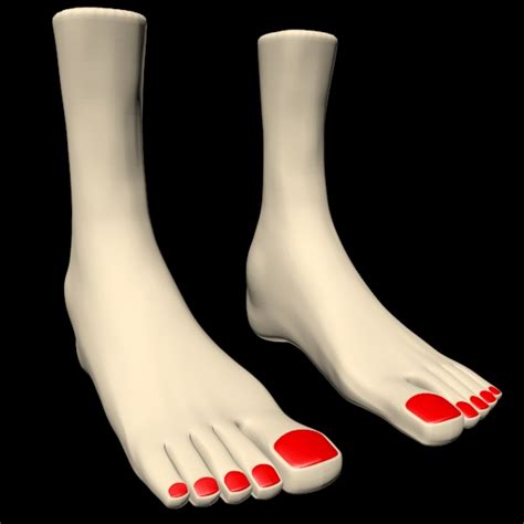 Female Feet 3d Model 25 Fbx Obj Ma Free3d