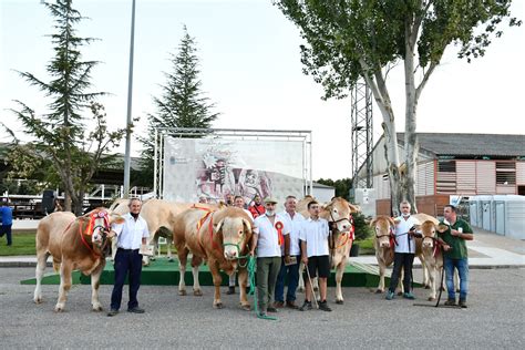 ENTREGA DE PREMIOS A LOS CAMPEONES Y GANADORES DE LOS CONCURSOS DE LAS