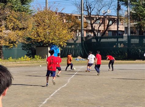 高校2年生77期が球技大会を実施しました ｜ 東京都立武蔵高等学校･附属中学校 東京都立学校