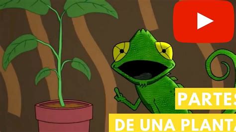 Descubre Qu Necesitan Las Plantas Para Vivir En Primaria