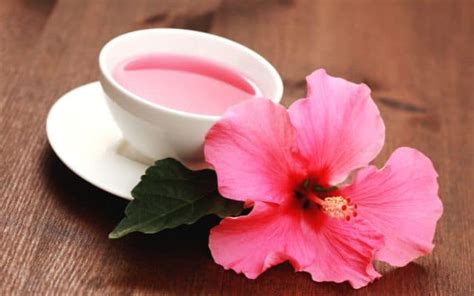 19 Powerful Herbal Teas For Female Hormone Balance Thrive With Janie