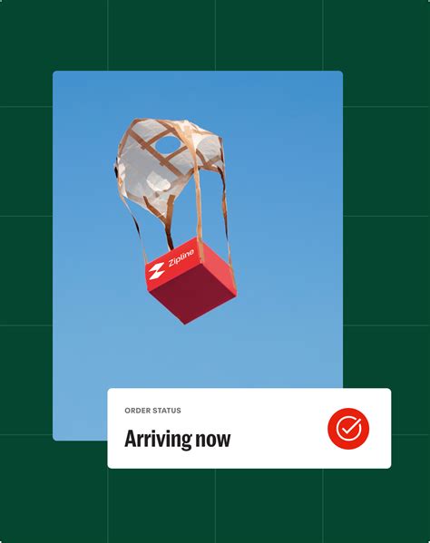 GNC Zipline Instant Delivery Logistics