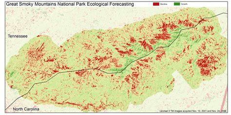 Stopping the Spread of the Hemlock Woolly Adelgid - Earthzine