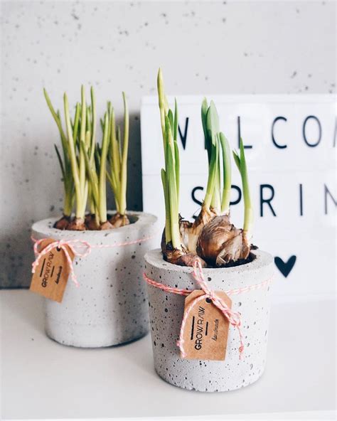 Two Potted Plants Sitting On Top Of A White Table Next To A Welcome Sign