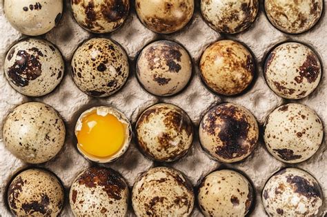 Premium Photo Quail Eggs In Cardboard Box