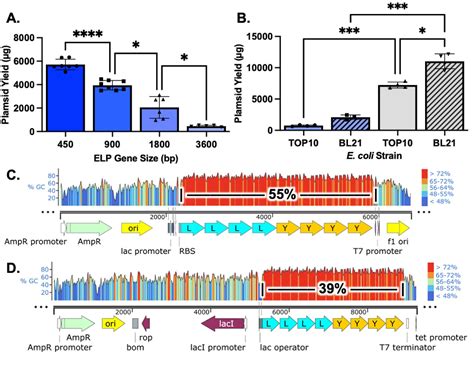 Figure From Construction Of An Elastin Like Polypeptide Gene In A