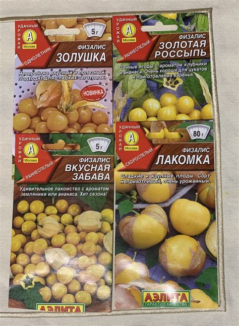 Рассада физалиса в дар (Москва). Дарудар