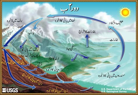 Water Cycle Q A In Urdu Urdu Class Room