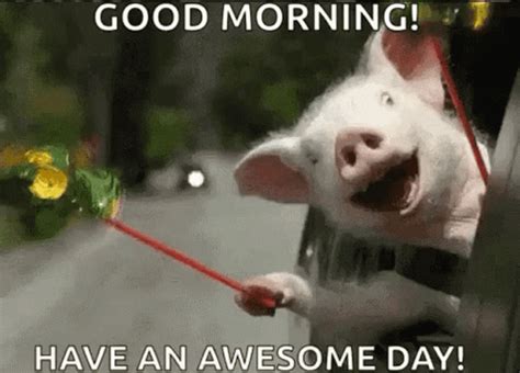 Good Morning Funny S