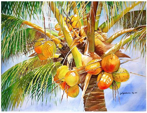 Coconut Tree Series In Coconut Tree Drawing Watercolor