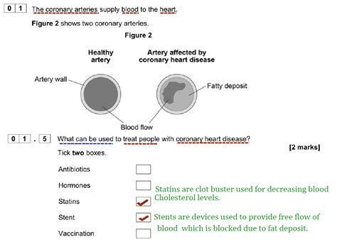 Aqa Gcse Foundation Biology Specimen Paper 1 Questions And Answers