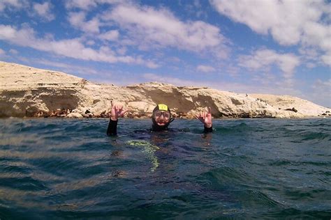 2024 Puerto Madryn Snorkeling With Sea Lions In Punta Loma