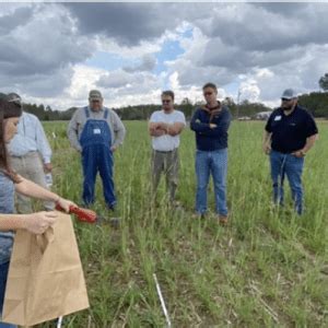 Agronomic Crops Impact Report Alabama Cooperative Extension System