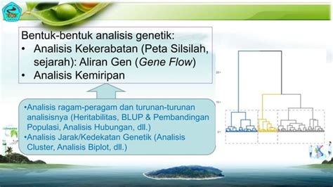 Pemuliaan Tanaman Dan Analisis Genetik Pptx