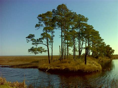 Heart and Sole: Hiking Cedar Island Nat. Wildlife Refuge