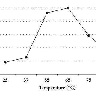 Thermostability Of Crude Xylanase Activities From Strain TWXYL3