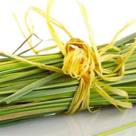 segudang manfaat serai bagi kesehatan tubuh  rancah post