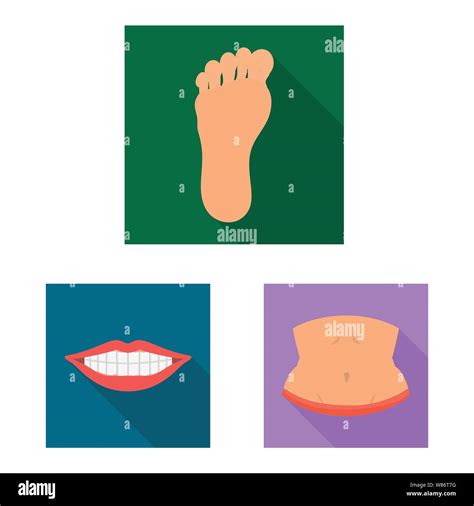 Vector Design Of Body And Part Icon Set Of Body And Anatomy Stock