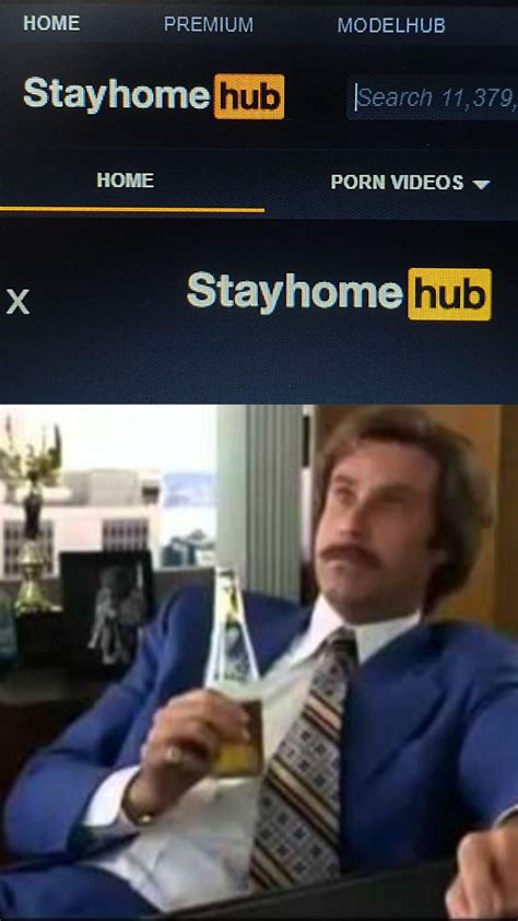 Stayhome Hub Memes