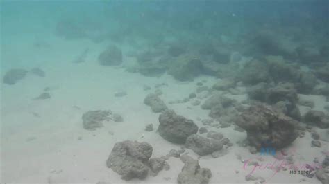 Pussy Rubbing During Travelling Amber Jade