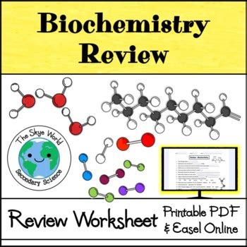 Biochemistry Review Worksheet With Digital Easel Google Compatible