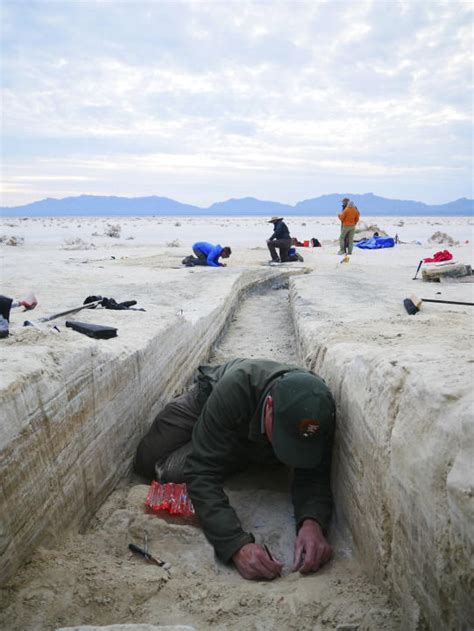 Further Evidence Points To Footprints In New Mexico Being The Oldest