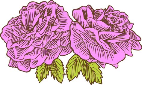 Rosas Desenhadas M O Ilustra O Do Vetor Ilustra O De Desenhadas