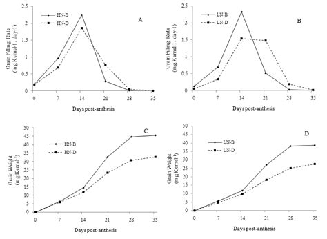 Grain Filling Rate And Grain Weight For Superior And Inferior Kernels