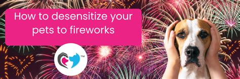 how to desensitize a dog to fireworks