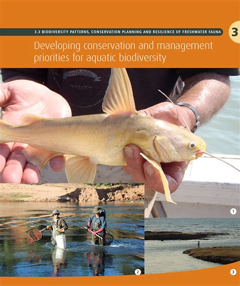 Developing conservation and management priorities for aquatic ...