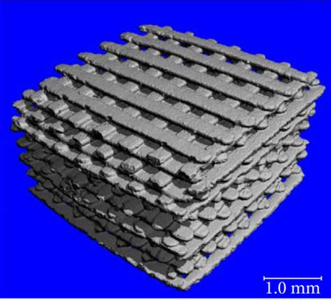 D Images Of The Scaffolds By Microcomputed Tomography Ct M