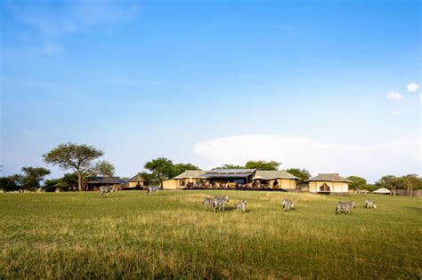 Top 5 Serengeti Safari Lodges & Camps