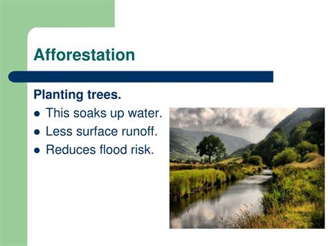 Ppt Managing Flooding Hard And Soft Engineering Powerpoint