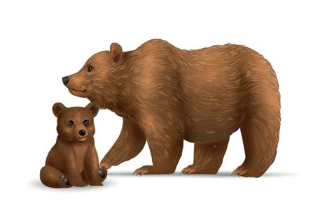 Bear Family Realistic Composition 29182974 Vector Art at Vecteezy