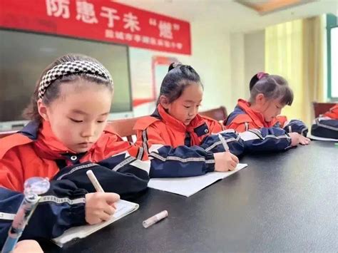 学习二十大 争做好队员——盐城市亭湖区实验小学学习二十大争章活动 章之 精神 系列