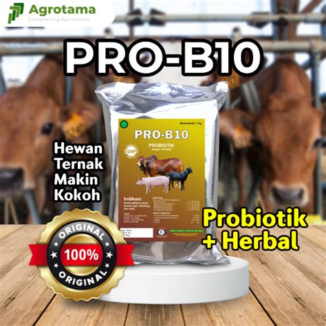 Jual Probio 1 Kg Mineral Probiotik Premix Penggemuk Sapi Kambing Domba